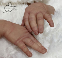 Load image into Gallery viewer, E-born Powder Nail Set for Moons, Beds and Nail Tips.