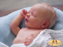 Load image into Gallery viewer, Reborn Doll kit realborn "DARREN ASLEEP" 17.5" (43cm)