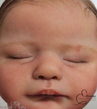 Load image into Gallery viewer, Heat Set E-born Milia PREMIX (5 gm jar)
