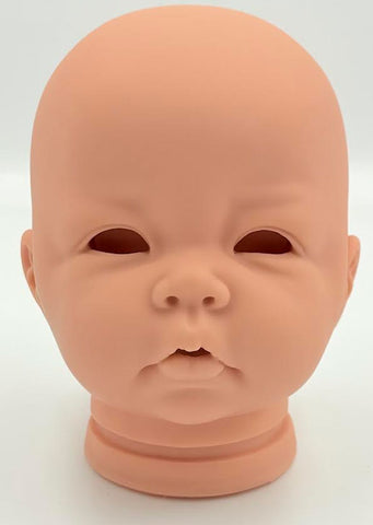 Reborn Doll Head.  LUCA by Elly Knoops 20" 