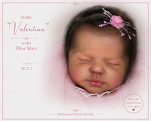 Load image into Gallery viewer, Reborn Doll HEAD VALENTINA 20" (50cm) by Eliza Marx
