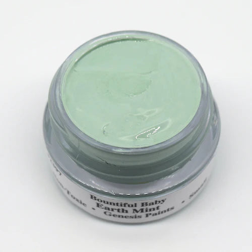 Genesis Heat Set Paint Premixed EARTH MINT  (6 gm)
