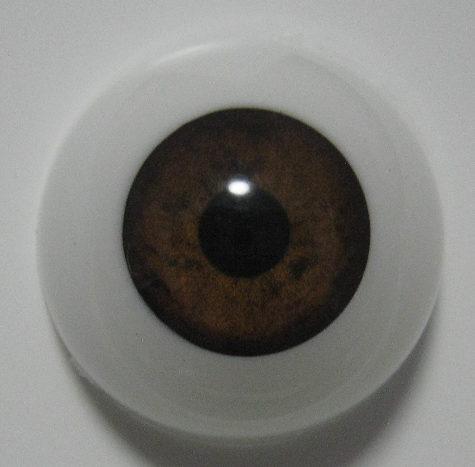 Acrylic doll eyes - BROWN 16mm, 18mm, 20mm, 22mm, 24mm