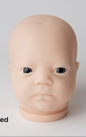 Reborn Doll kit  HEAD "JOHANNAH AWAKE" 19" 