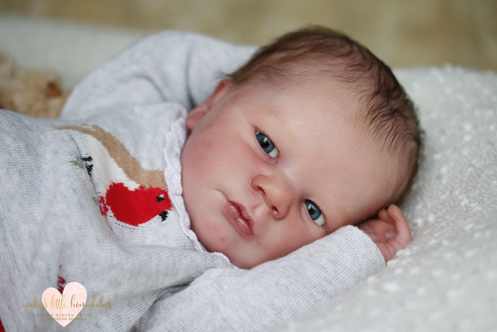 Lavender Sleeping Kit Reborn Authentic Reborn Baby Doll Lavender